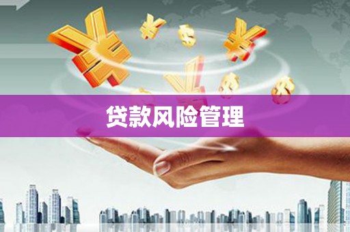安国贷款风险管理