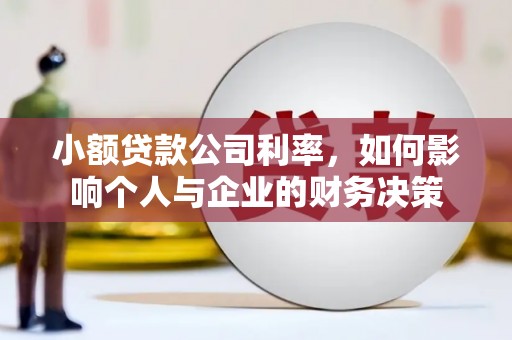 安国小额贷款公司利率，如何影响个人与企业的财务决策