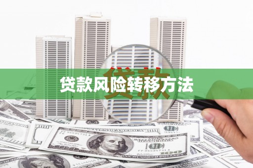 安国贷款风险转移方法