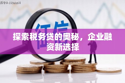 安国探索税务贷的奥秘，企业融资新选择