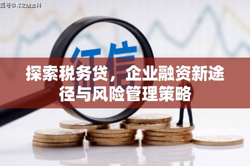 安国探索税务贷，企业融资新途径与风险管理策略