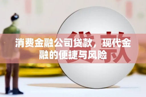 安国消费金融公司贷款，现代金融的便捷与风险