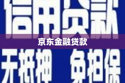 安国京东金融贷款