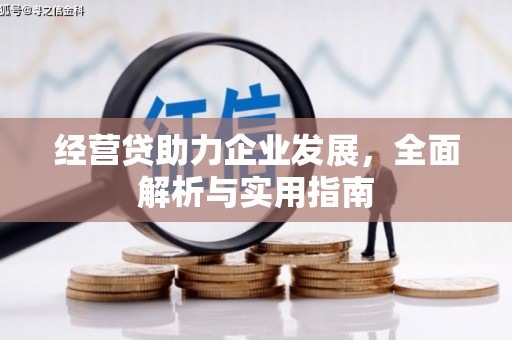 安国经营贷助力企业发展，全面解析与实用指南