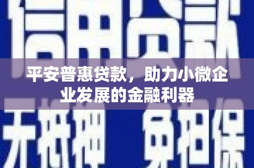 安国平安普惠贷款，助力小微企业发展的金融利器