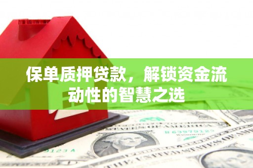 安国保单质押贷款，解锁资金流动性的智慧之选
