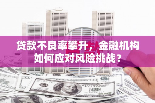 安国贷款不良率攀升，金融机构如何应对风险挑战？