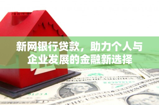 安国新网银行贷款，助力个人与企业发展的金融新选择