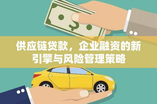 安国供应链贷款，企业融资的新引擎与风险管理策略