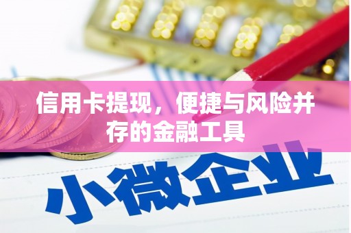 安国信用卡提现，便捷与风险并存的金融工具