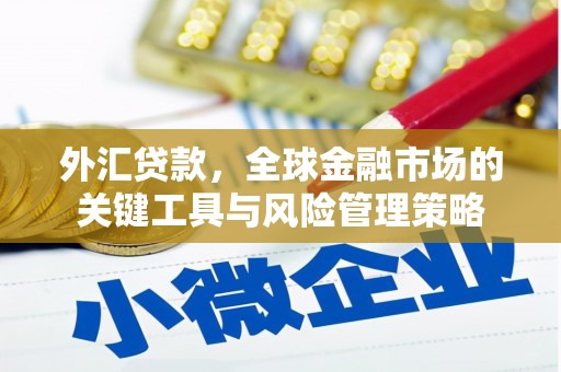 安国外汇贷款，全球金融市场的关键工具与风险管理策略