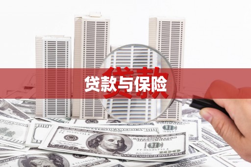 安国贷款与保险