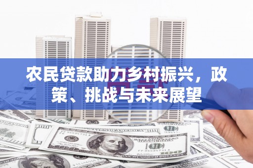 安国农民贷款助力乡村振兴，政策、挑战与未来展望