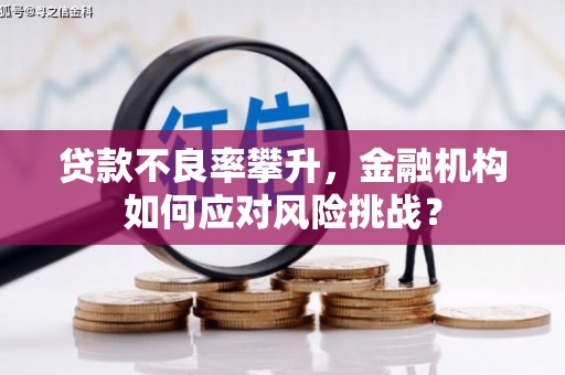 安国贷款不良率攀升，金融机构如何应对风险挑战？