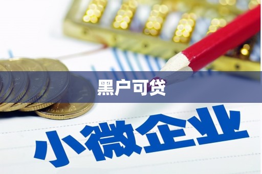 安国黑户可贷