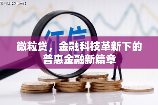 安国微粒贷，金融科技革新下的普惠金融新篇章