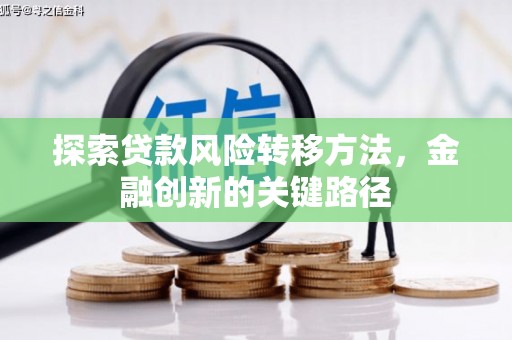 安国探索贷款风险转移方法，金融创新的关键路径