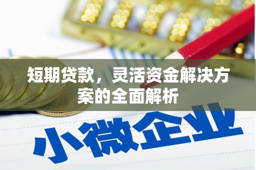 安国短期贷款，灵活资金解决方案的全面解析