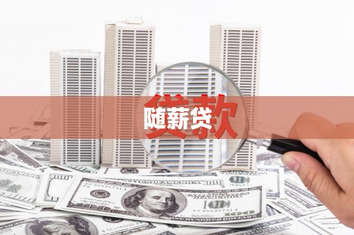 安国随薪贷