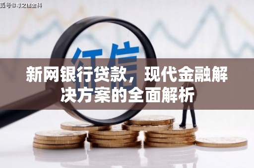 安国新网银行贷款，现代金融解决方案的全面解析