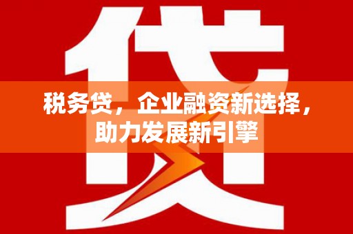 安国税务贷，企业融资新选择，助力发展新引擎