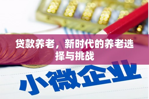 安国贷款养老，新时代的养老选择与挑战