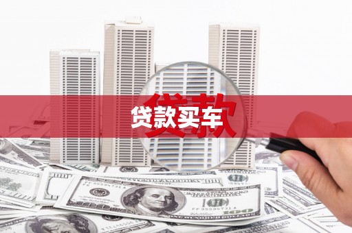 安国贷款买车