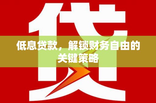 安国低息贷款，解锁财务自由的关键策略