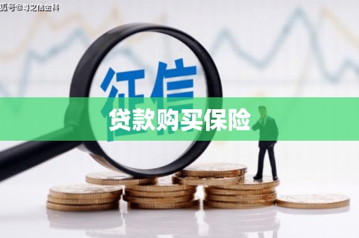 安国贷款购买保险