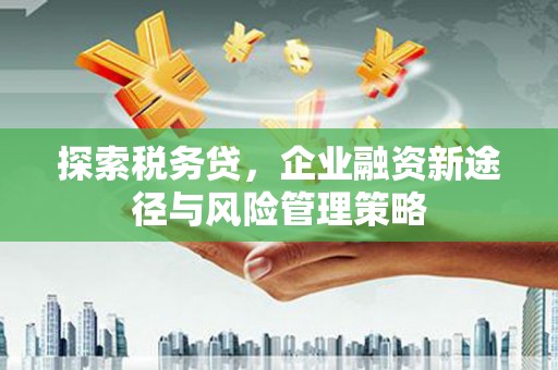 安国探索税务贷，企业融资新途径与风险管理策略
