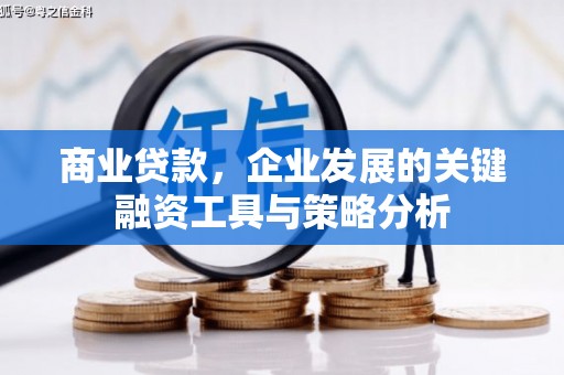 安国商业贷款，企业发展的关键融资工具与策略分析