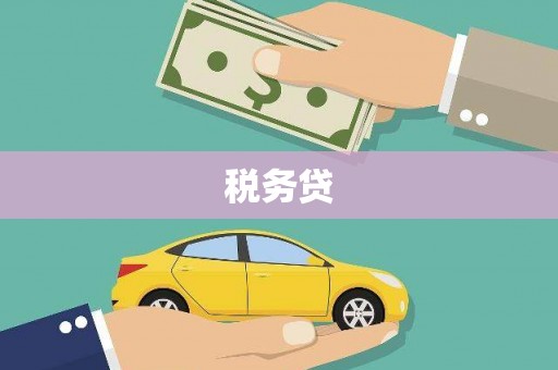安国税务贷
