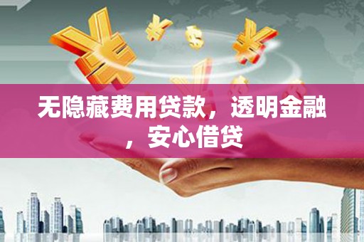 安国无隐藏费用贷款，透明金融，安心借贷