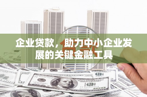 安国企业贷款，助力中小企业发展的关键金融工具