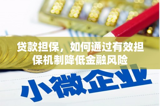 安国贷款担保，如何通过有效担保机制降低金融风险