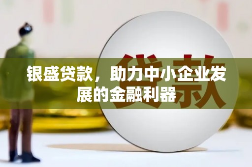 安国银盛贷款，助力中小企业发展的金融利器