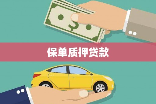 安国保单质押贷款