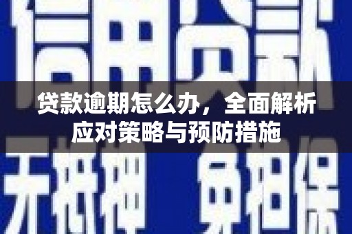 安国贷款逾期怎么办，全面解析应对策略与预防措施