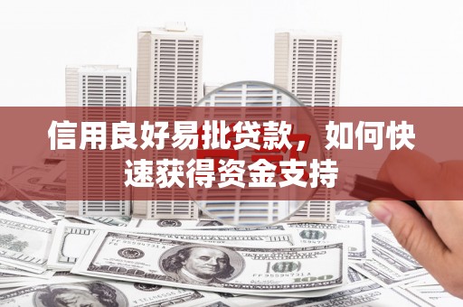 安国信用良好易批贷款，如何快速获得资金支持