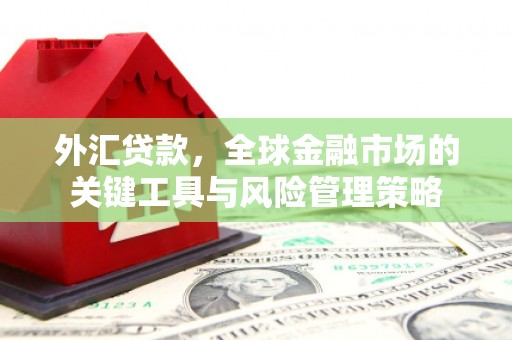 安国外汇贷款，全球金融市场的关键工具与风险管理策略