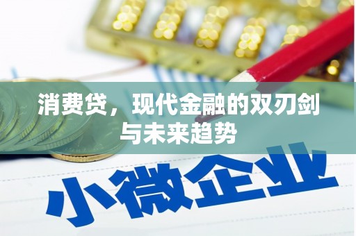 安国消费贷，现代金融的双刃剑与未来趋势