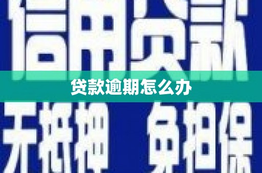 安国贷款逾期怎么办