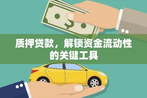 安国质押贷款，解锁资金流动性的关键工具