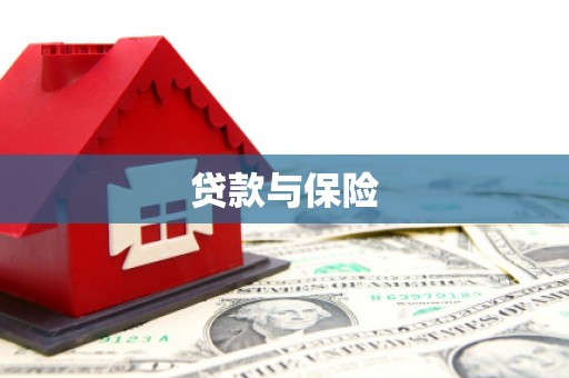 安国贷款与保险