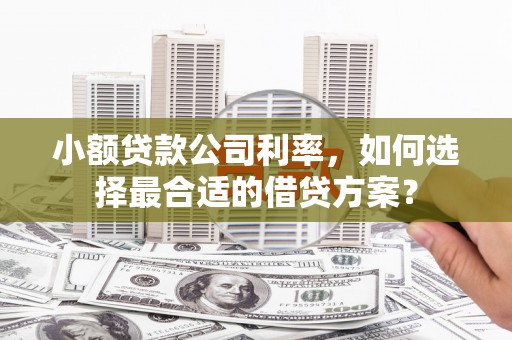 安国小额贷款公司利率，如何选择最合适的借贷方案？