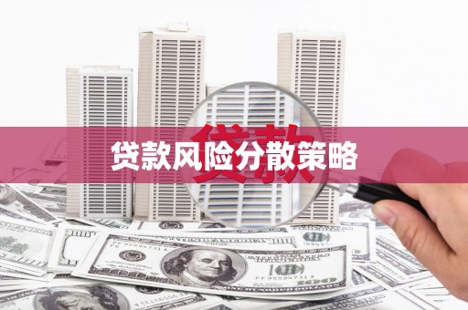 安国贷款风险分散策略