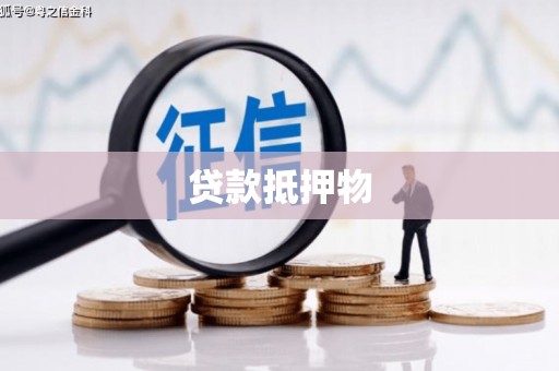 安国贷款抵押物