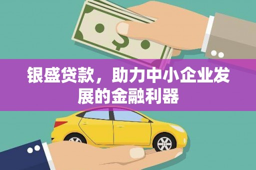 安国银盛贷款，助力中小企业发展的金融利器