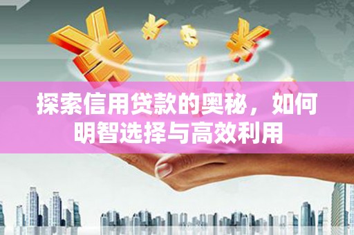 安国探索信用贷款的奥秘，如何明智选择与高效利用