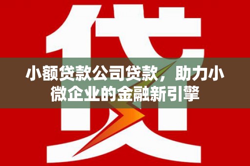 安国小额贷款公司贷款，助力小微企业的金融新引擎